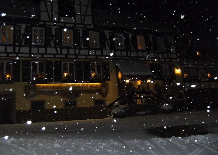 Hotels in Schiltach