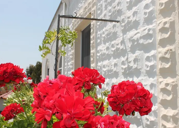 B&B Stella Marina Manfredonia