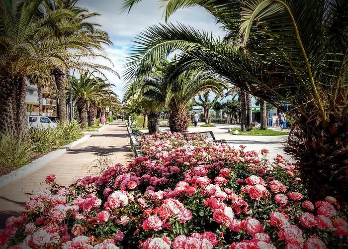 Petit Hotel San Benedetto del Tronto