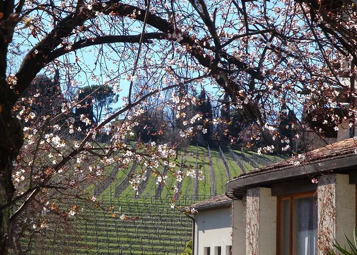 Sporting Hotel Ragno D'oro