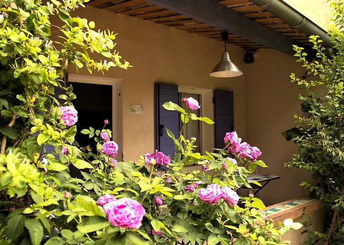 Clos des Iris Moustiers-Sainte-Marie