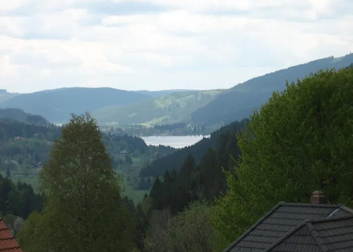 Hotel Gästehaus Faller Feldberg 