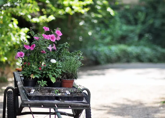Villa Fausta B&B Trieste