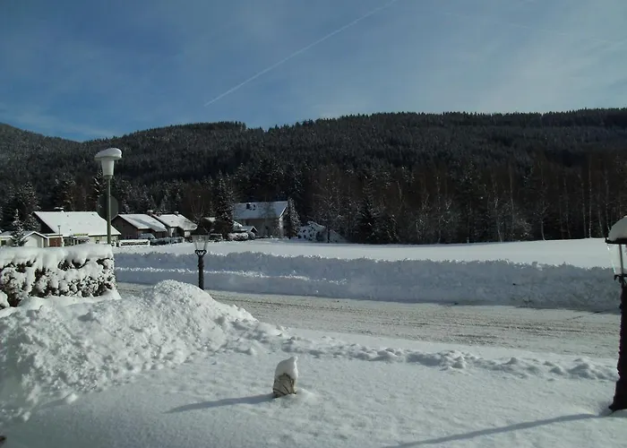 Hotel Rheingold Garni Titisee-Neustadt