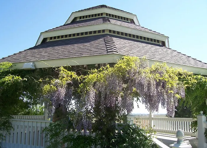 Wild Rose Manor Bed & Breakfast