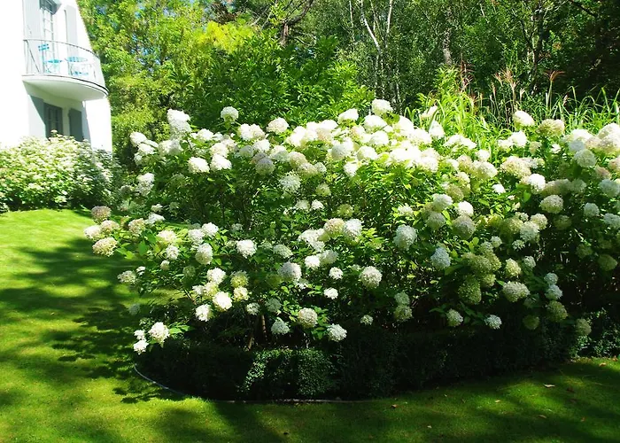 Bed and Breakfast So Touquet à Le Touquet-Paris-Plage
