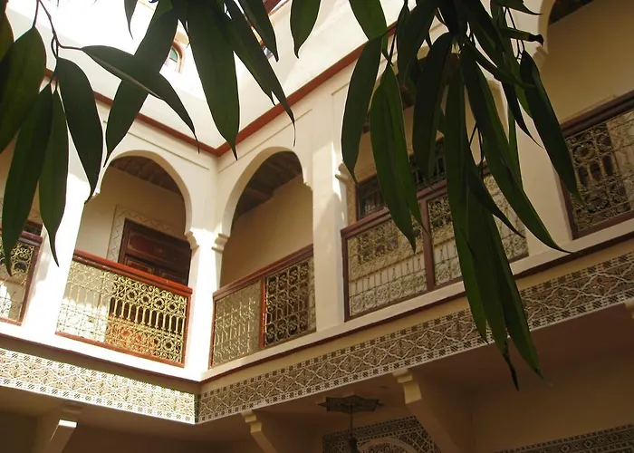 Riad Amiris