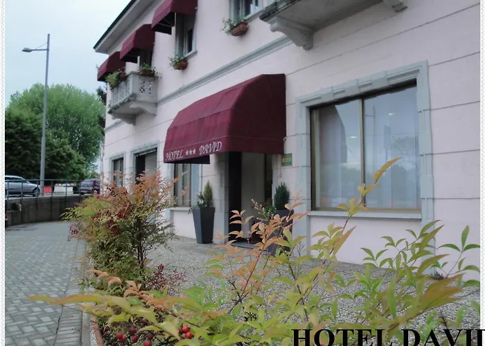 Hotel David