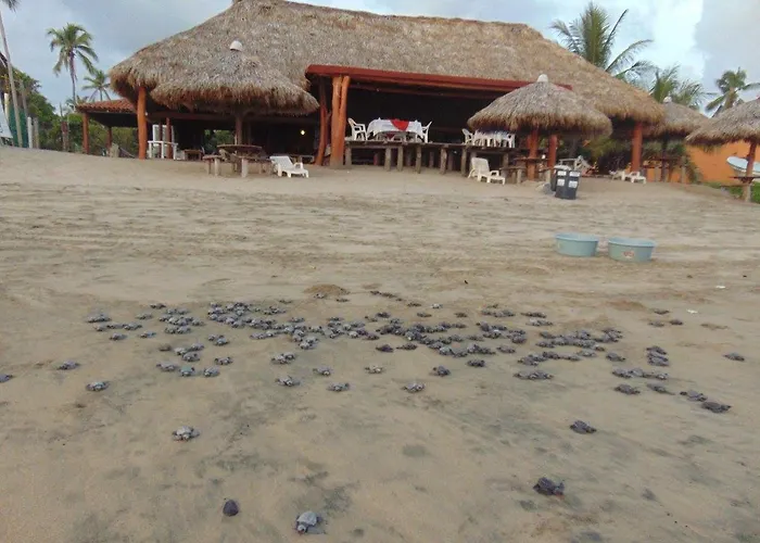 Roberto'S Bistro Hotel Troncones