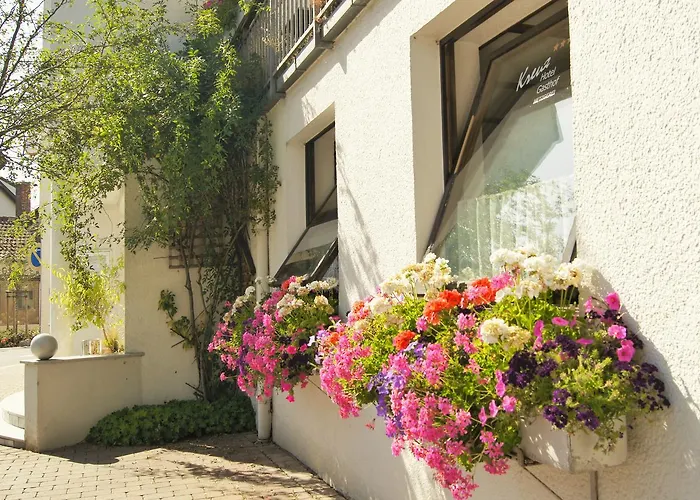 Bad Buchau Hotels