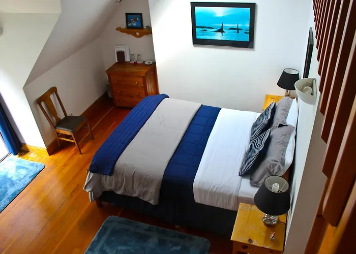 Lost Whale Inn Trinidad