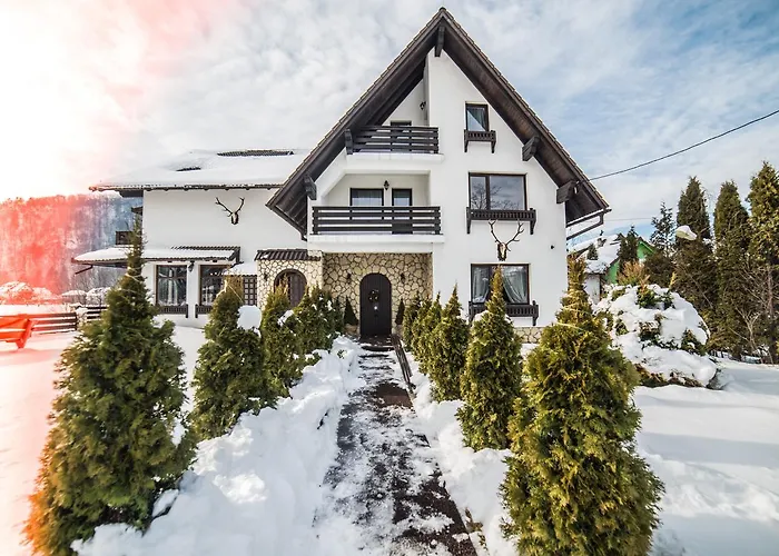 Bran (Brasov) Hotels