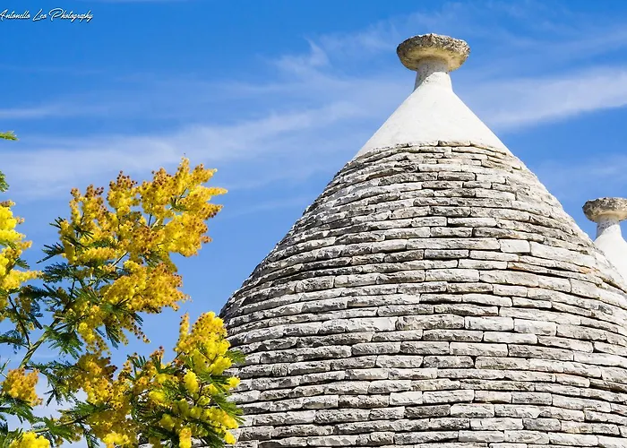 Bed and Breakfast Da Santino Alberobello