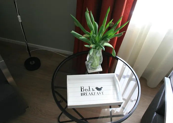 B&B 't Meulweegje Ouddorp