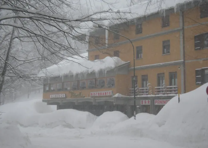 Hotel Primula