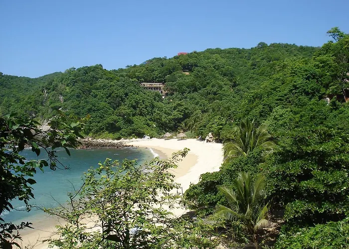 Hotels in Puerto Ángel