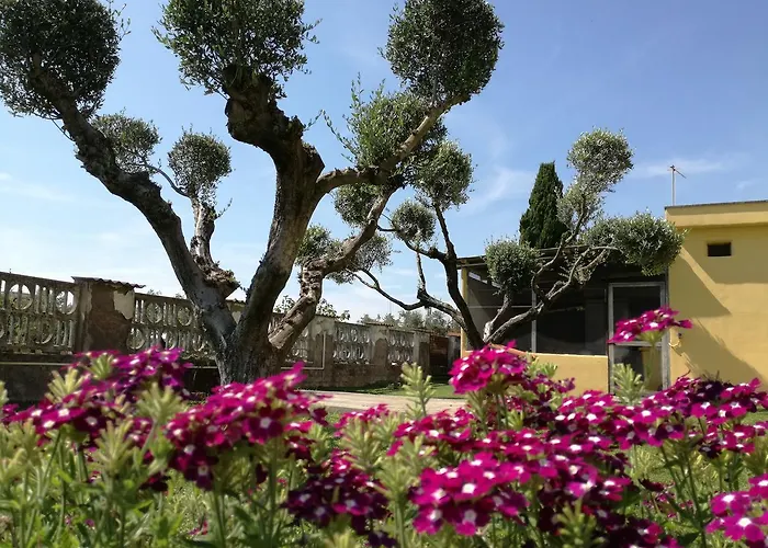 B&B Casa degli Ulivi Nettuno