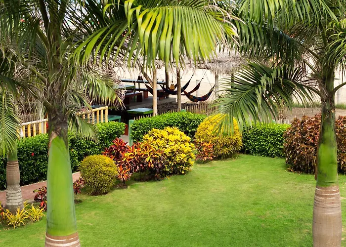 Montanita Hotels