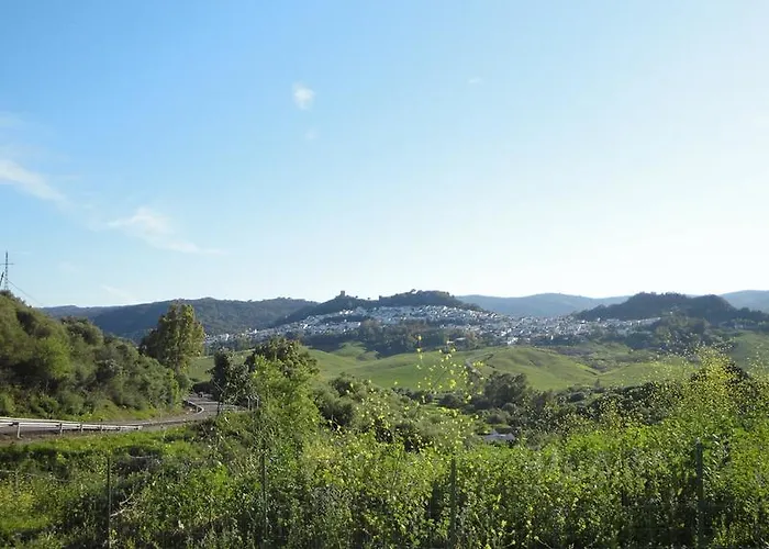 Caballo Andaluz Gaucín