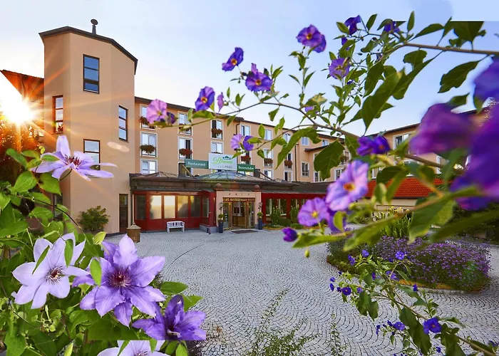 Rain (Swabia) Hotels