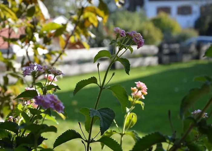 Pension Willibald Bad Tölz
