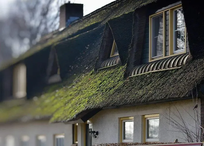 B&B-Hotel de Joremeinshoeve Kaatsheuvel