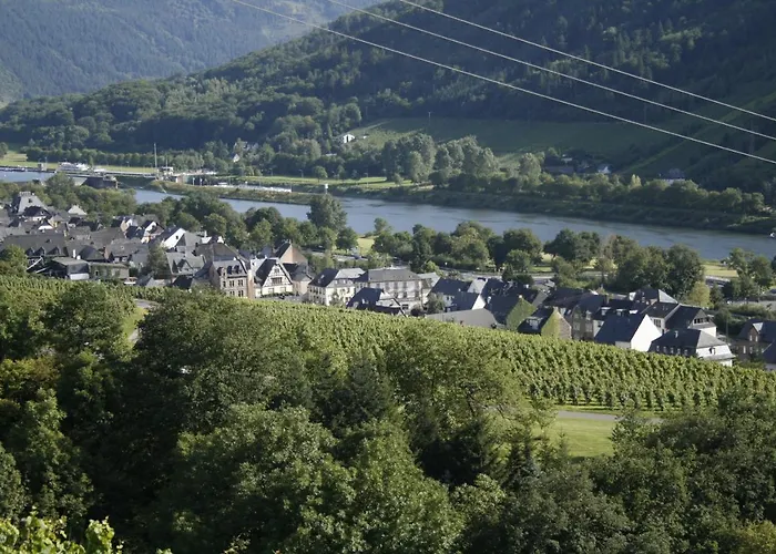 Hotels in Enkirch
