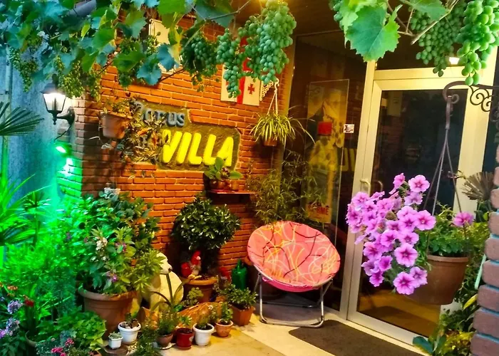 Hotel Villa On Bachana 10