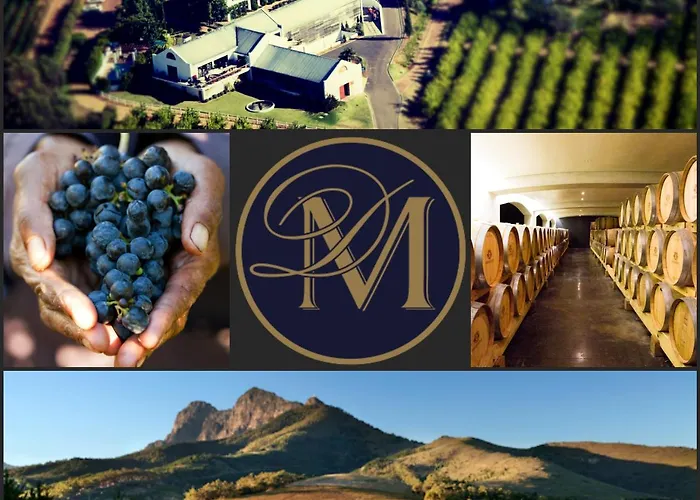 Marianne Wine Estate
