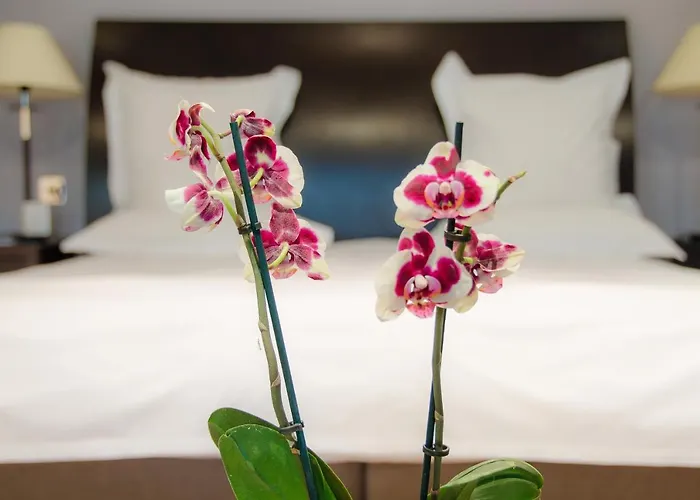 Hotel Felix