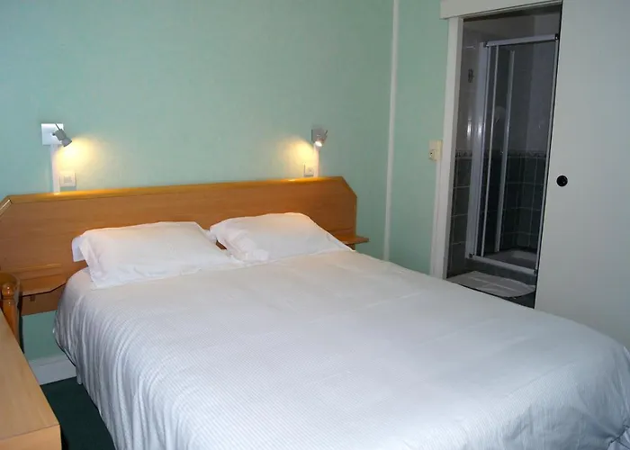 Hotel Le Lyon Bron