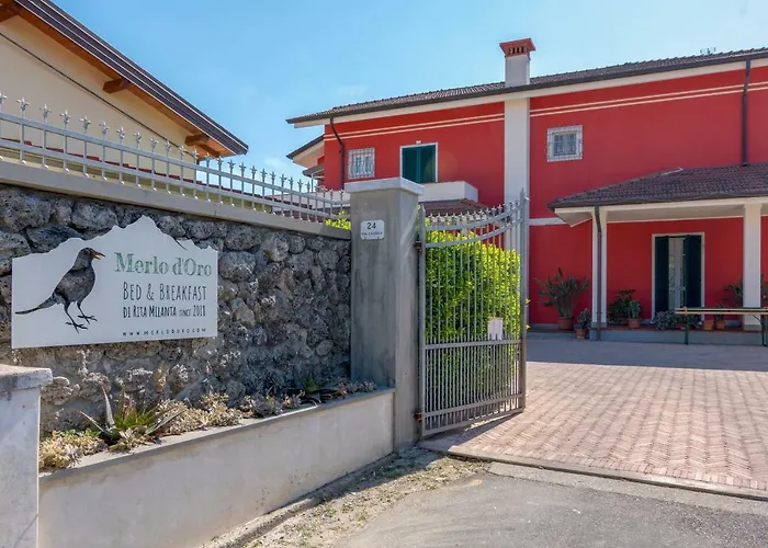 Merlo d'Oro Carrara