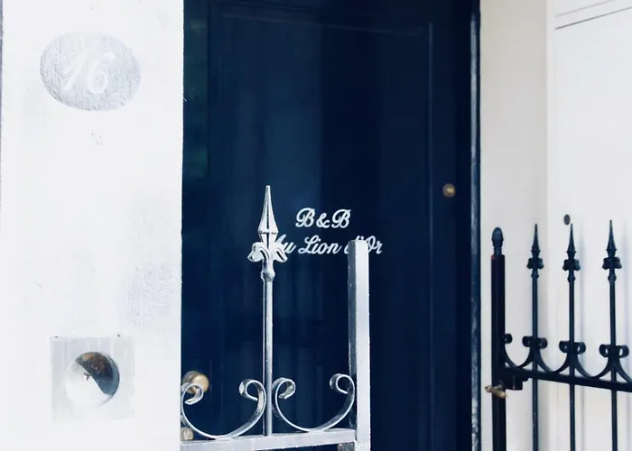 B&B Au Lion D'Or