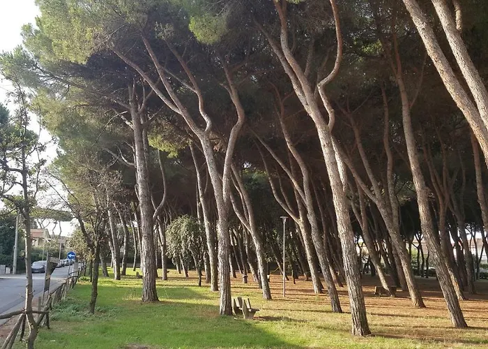 La locanda di Gioele Lido di Camaiore