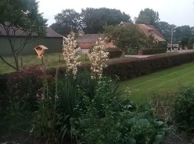 B&B An De Kraloerweg Ruinen
