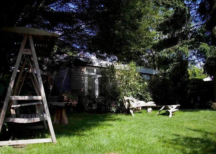 Achter het witte huis