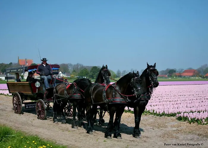 Sterrenhoeve Castricum