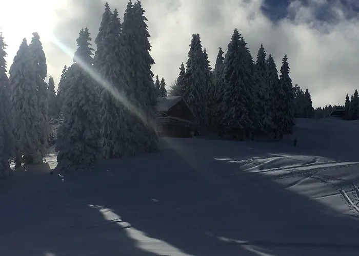 Hotel Auerhahn Feldberg 
