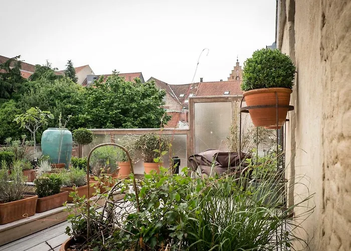 Csar Private Guesthouse Brujas