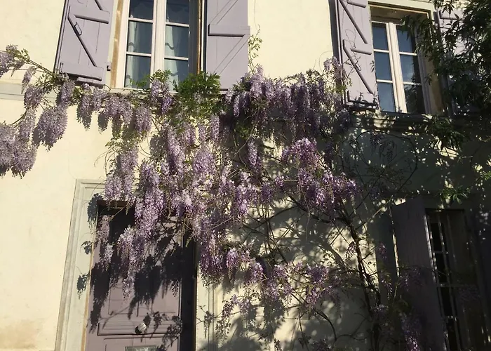 Lilas-Rose