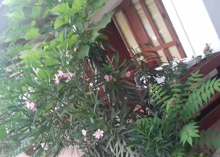Bed and Breakfast A Casa Di Nene Palinuro