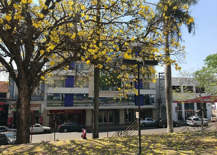 Vip Hotel Jaú