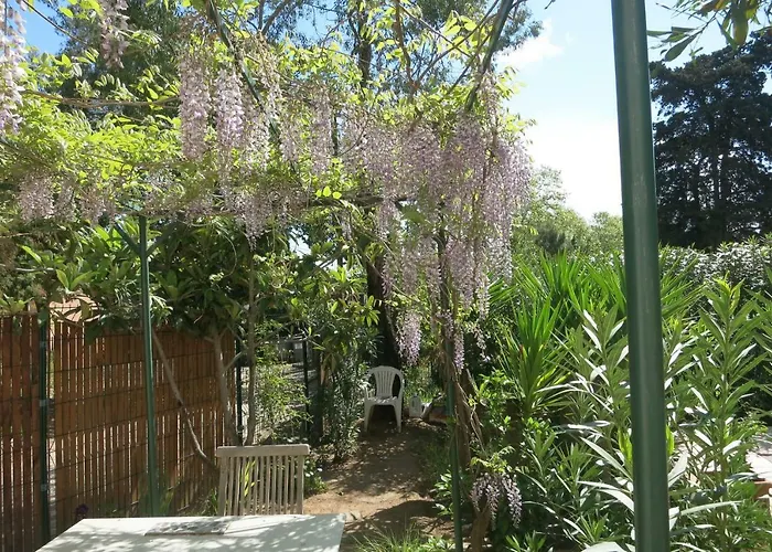 Villa les Lys La Seyne-sur-Mer