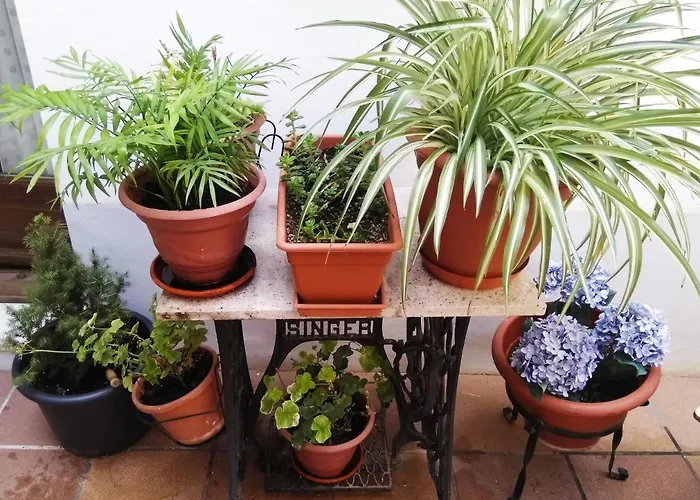 Hostal La Ribera del Júcar