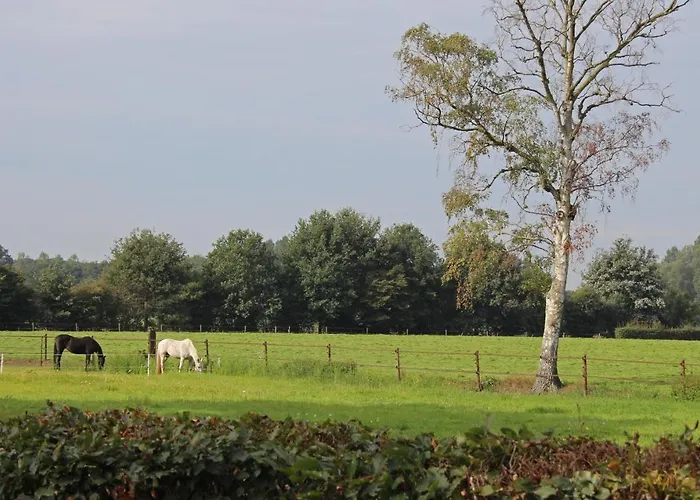 Bed&Breakfast De Lindehoek Zelhem