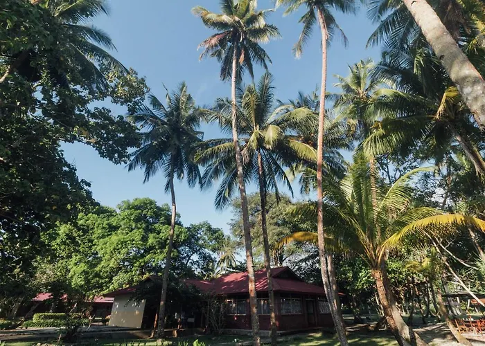 Oyo 1688 Collin Beach Hotel Ambon