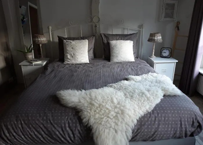 De Slapende Leeuw Bed and Breakfast Middelburg