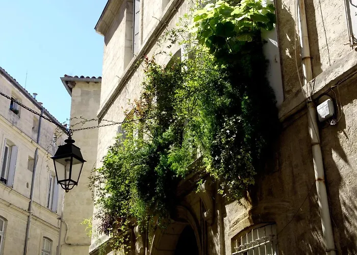 B&B Chambre d'Autres, Massages Montpellier