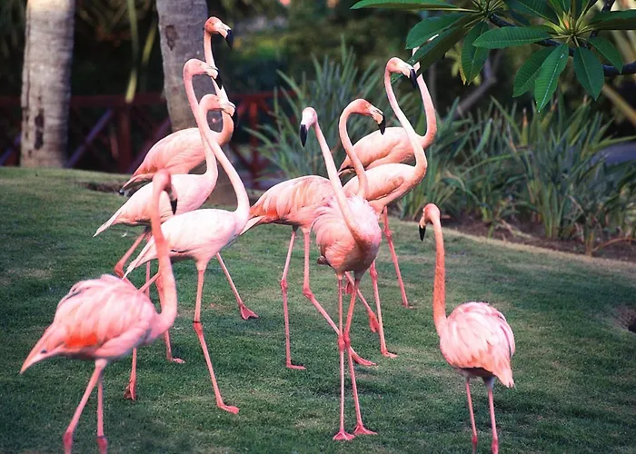 Natura Park Beach & Spa Eco Resort Punta Cana