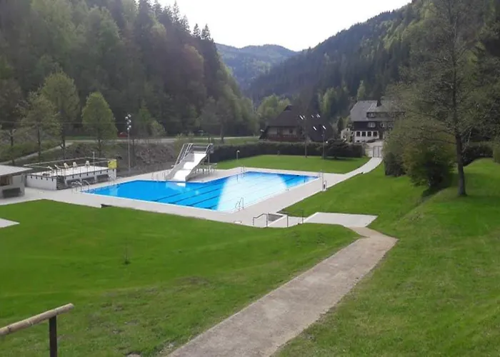 Hotels in Todtnau